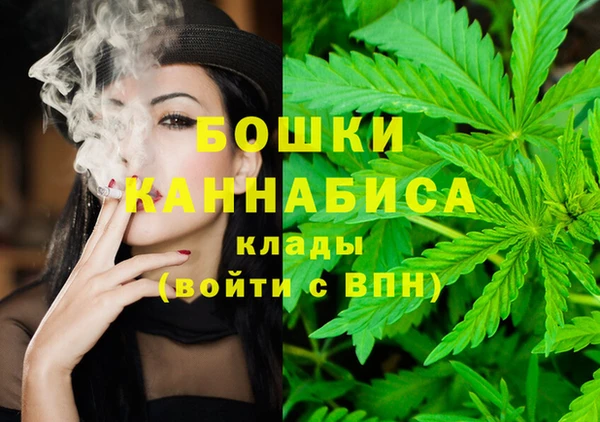 молекула духа Балахна