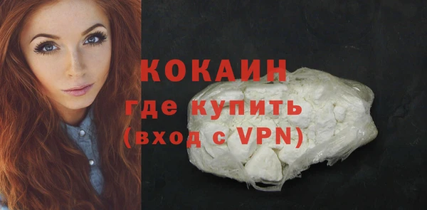 молекула духа Балахна