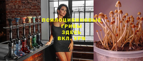 соль ск Балабаново