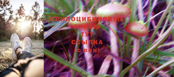 молекула духа Балахна