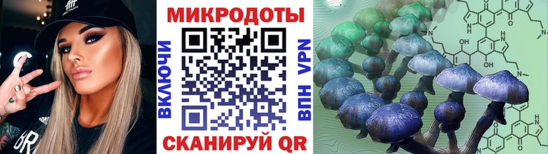 Псилоцибиновые грибы Psilocybe  Заозёрск 